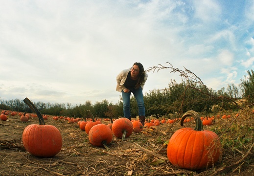 I hear Pumpkins